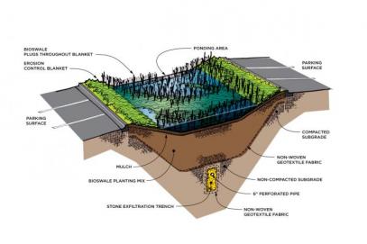 The Bioswale in Mitchell Library's Backyard | Welcome to Westville