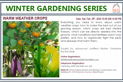 Winter Gardening Series: Warm Weather Crops